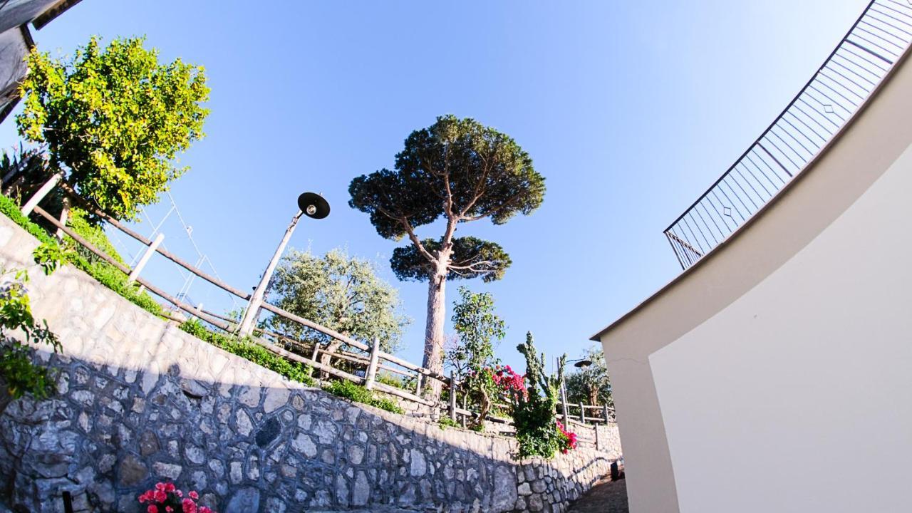 L'antica Pigna Chateau