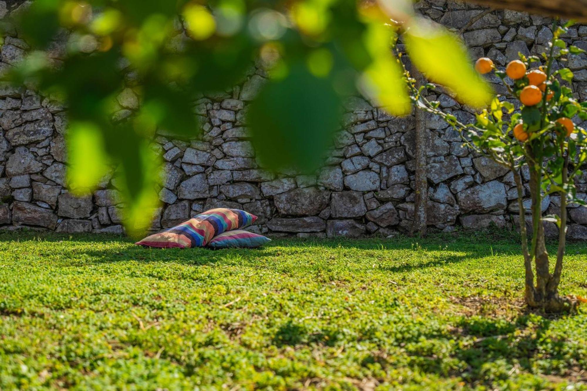 L'antica Pigna Chateau Holiday home Vico Equense