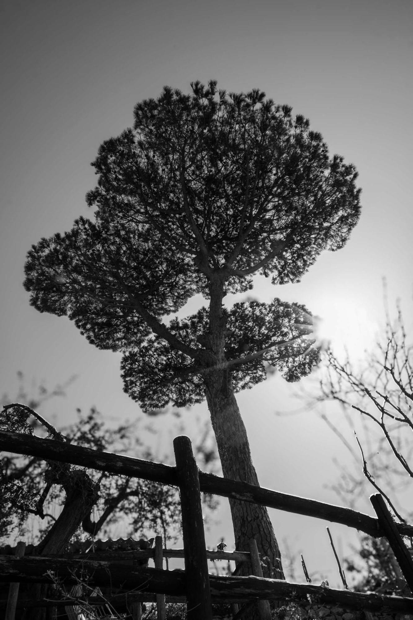 L'antica Pigna Chateau *